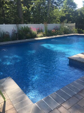 Poolside gardens 