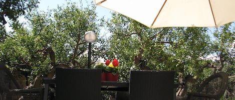 Veranda overlooking Citrus grove