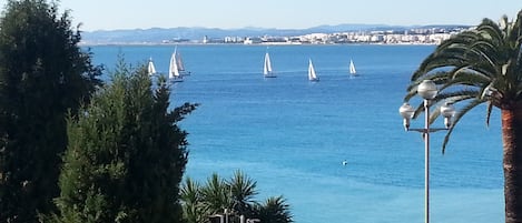 Vue sur la plage ou l’océan