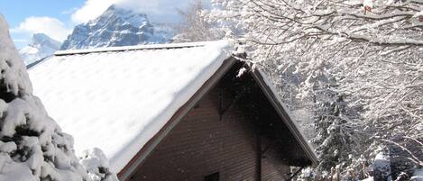 Chalet apartment rear entrance