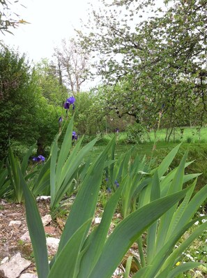 Jardines del alojamiento