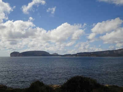 panoramic view, central, beach front