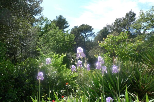 Parco della struttura