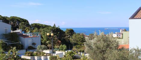 Vue sur la plage ou l’océan