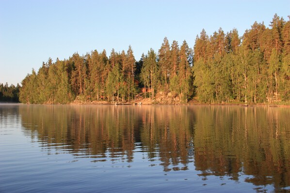 A view from the lake.