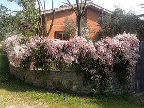 visuale all'arrivo in primavera