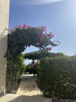Rear entrance to garden from driveway