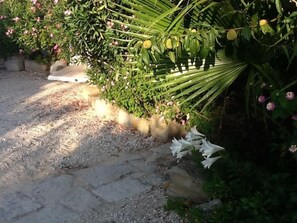 Lilies and Peaches by the car parking area