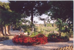 Jardin, Parc