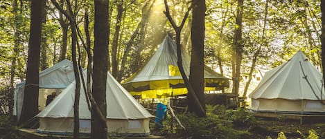 Overnattingsstedets uteområder