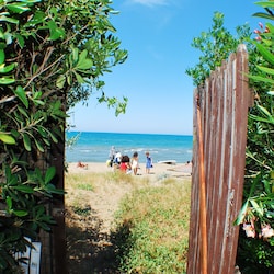 Strand