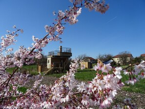 Boendeområde