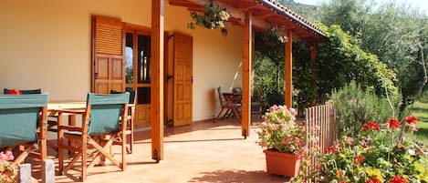 Terraço/pátio interior