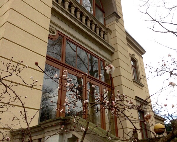 Exterior detail
