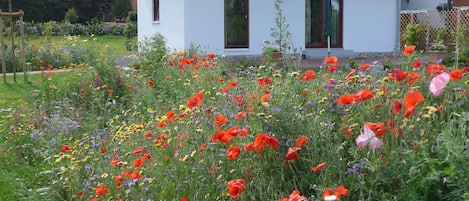 Kleines Ferienhaus mit Garten auf dem Land