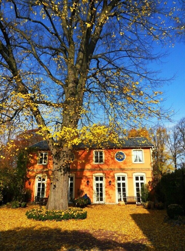 Das Gutshaus unter der Linde