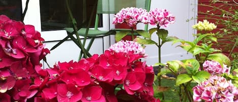 Petite terrasse au calme de la sente