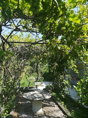 Boendeområde
