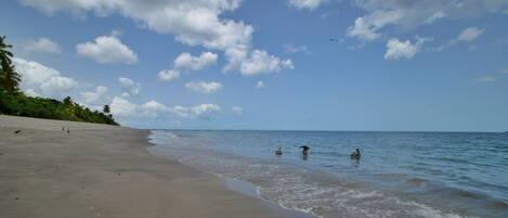 Spiaggia