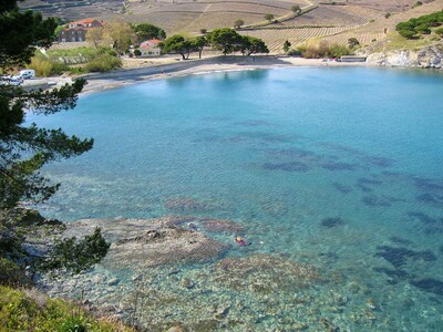 IN CERBERE, TERRACE SEA VIEW AND MOUNTAIN - APARTMENT Chic and design