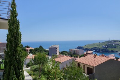 IN CERBERE, TERRACE SEA VIEW AND MOUNTAIN - APARTMENT Chic and design