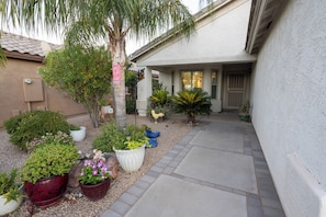 The path leading to the front door.