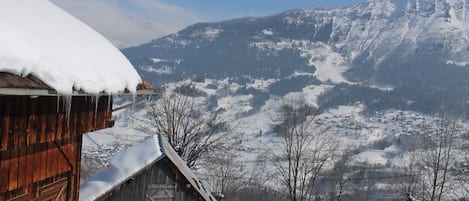 Vu du chalet 