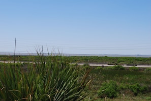 Look to the west from this balcony and see Galveston Bay.