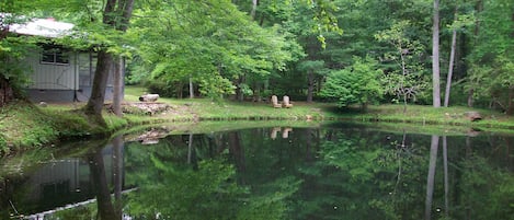 PICTURE PERFECT POND