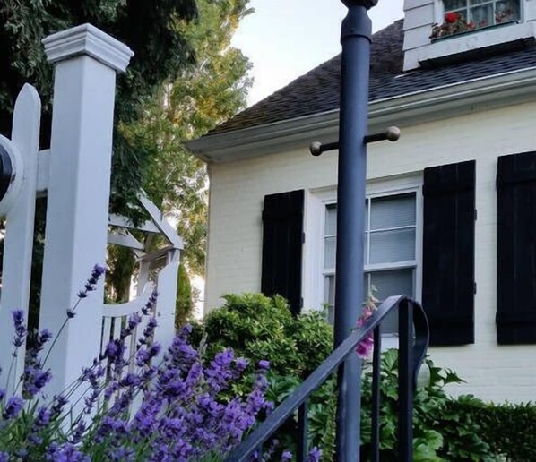 Quaint entry path of Lavender, Honeysuckle and Jasmine.
