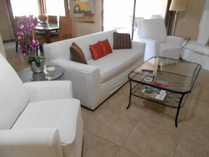 Newer Sofa Sleeper Slip covers & Recliner