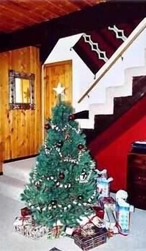 Christmas at Serendipity