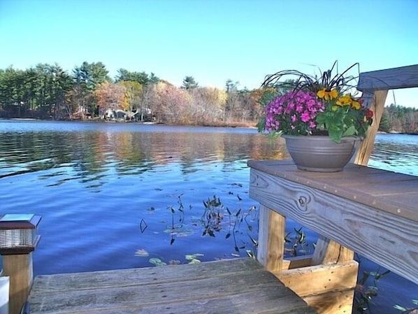 View from the dock