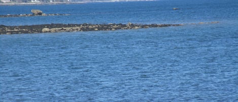 This is not a waterfront property, this is a picture of Lamoine Beach