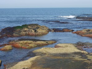 Walk the groomed path to Black Point State Park “the rocks"