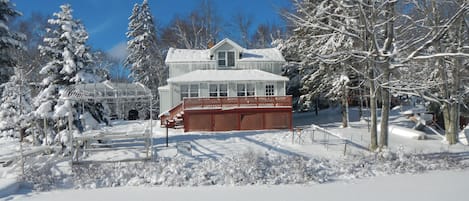 Winter from the lake