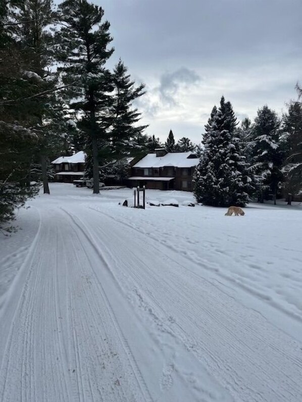 Ulkopuoli