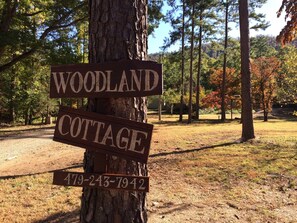 National Forest behind Cottage