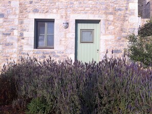 Entrance door
