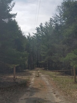 Street view looking down driveway