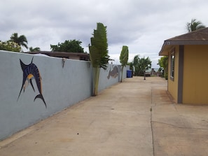 Driveway to the house and parking lot