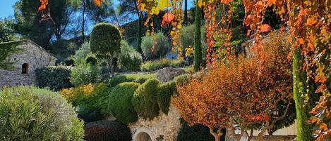 Autumn in Provence at the Moulin