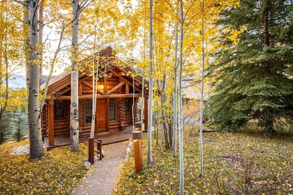 Surrounding mature pines and aspens present a quiet private  park environment