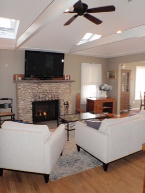 Living room and fireplace