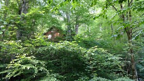 View of the cabin up on the ridge from below at the creek.