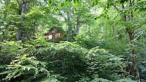 View of the cabin up on the ridge from below at the creek.