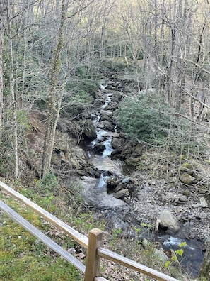 A view of the roaring creek from the back yard and porch.  