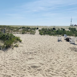 Large backyard with firepit and private beach access path