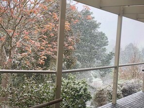 Yep. Snow. 