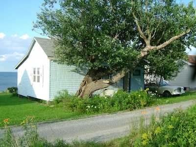 The Little Blue Cottage on Heather Beach